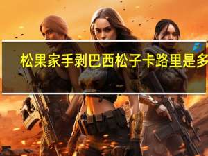 松果家 手剥巴西松子卡路里是多少