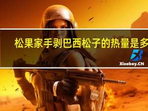 松果家 手剥巴西松子的热量是多少