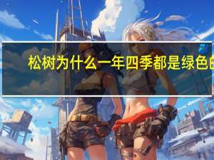 松树为什么一年四季都是绿色的