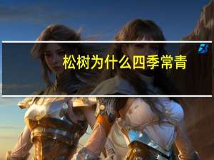 松树为什么四季常青
