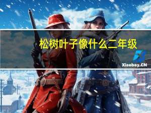 松树叶子像什么二年级