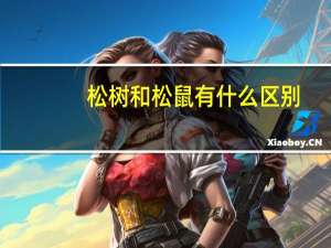 松树和松鼠有什么区别