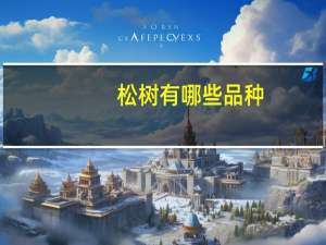 松树有哪些品种