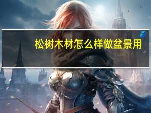 松树木材怎么样做盆景用