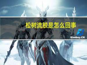 松树流胶是怎么回事