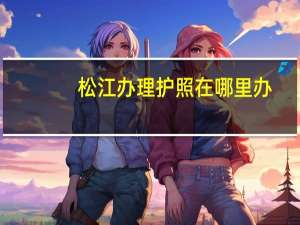 松江办理护照在哪里办