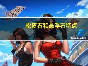 松皮石和悬浮石特点