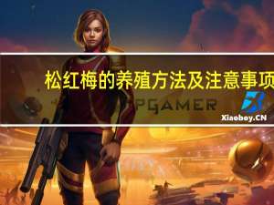 松红梅的养殖方法及注意事项：喜湿、喜光、喜凉爽的环境