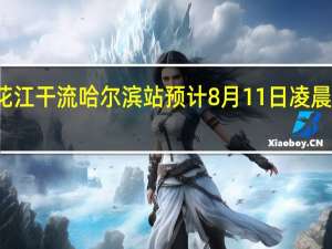 松花江干流哈尔滨站预计8月11日凌晨出现洪峰