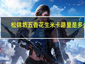 松锦坊 五香花生米卡路里是多少