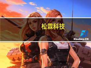 松霖科技：目前美国市场基本恢复到同期水平而欧洲市场仍然无法达到同期水平