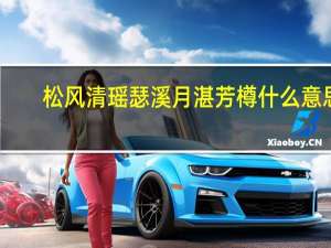 松风清瑶瑟溪月湛芳樽什么意思