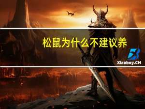 松鼠为什么不建议养