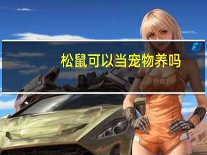松鼠可以当宠物养吗