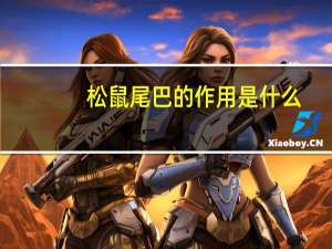 松鼠尾巴的作用是什么（松鼠尾巴的作用）