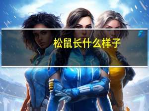 松鼠长什么样子