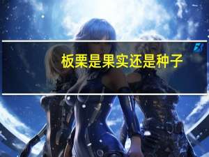 板栗是果实还是种子
