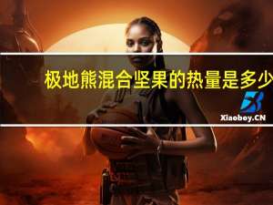 极地熊 混合坚果的热量是多少