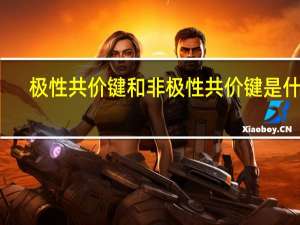 极性共价键和非极性共价键是什么