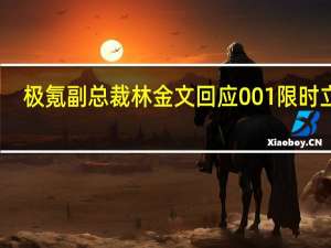 极氪副总裁林金文回应001限时立减：降价不是为了清库存
