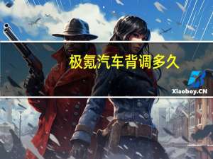 极氪汽车背调多久