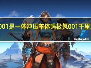 极氪001是一体冲压车体吗 极氪001千里续航版交付
