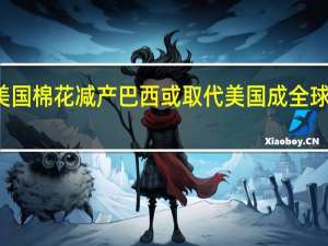 极端天气致美国棉花减产巴西或取代美国成全球第一大棉花出口国