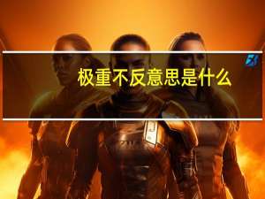 极重不反意思是什么