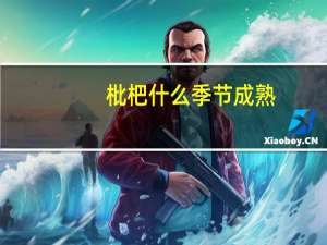 枇杷什么季节成熟