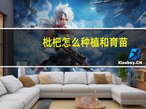 枇杷怎么种植和育苗