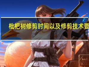 枇杷树修剪时间以及修剪技术要点