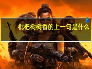 枇杷树树香的上一句是什么