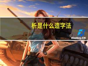 析是什么造字法