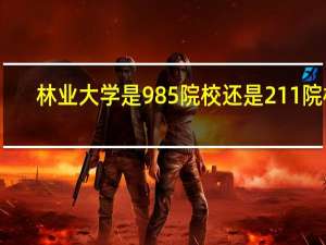 林业大学是985院校还是211院校