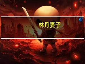 林丹妻子