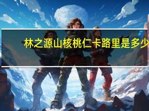 林之源 山核桃仁卡路里是多少