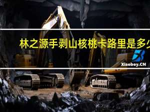 林之源 手剥山核桃卡路里是多少