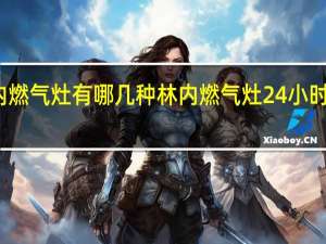 林内燃气灶有哪几种 林内燃气灶24小时服务热线