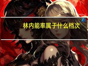林内能率属于什么档次（林内能率）