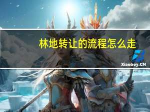 林地转让的流程怎么走