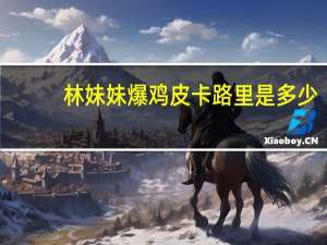 林妹妹 爆鸡皮卡路里是多少