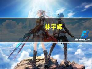 林宇辉（关于林宇辉的介绍）