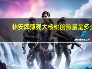 林安牌 薄壳大核桃的热量是多少