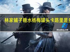 林家铺子 糖水杨梅罐头卡路里是多少