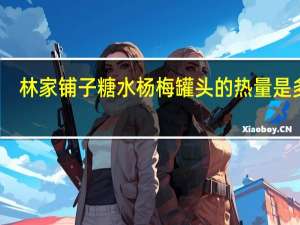 林家铺子 糖水杨梅罐头的热量是多少