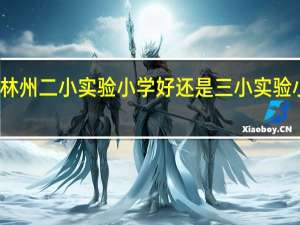 林州二小实验小学好还是三小实验小学好