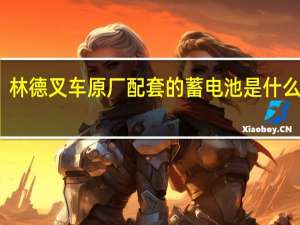 林德叉车原厂配套的蓄电池是什么品牌