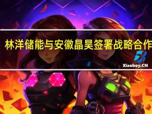 林洋储能与安徽晶昊签署战略合作协议