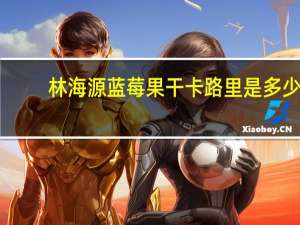 林海源 蓝莓果干卡路里是多少