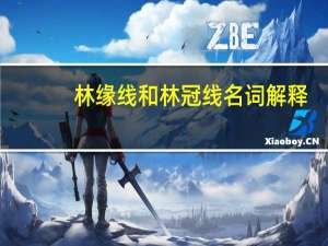 林缘线和林冠线名词解释